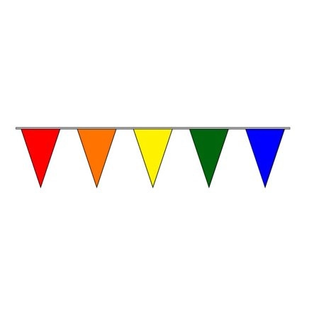 120' Multi-Color Pennant
