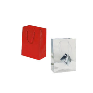 Gloss Gift Bags